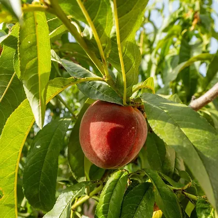 Casa Claudia * Assemini